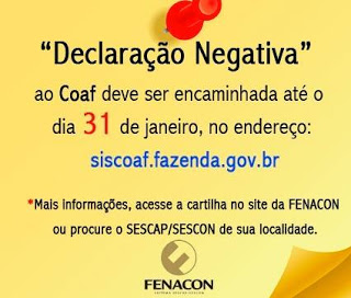 Acesse A Cartilha Da Fenacon Sobre A Entrega Da Declara O Negativa