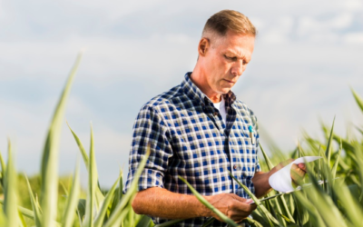 O que muda para o produtor rural com a lei da obrigatoriedade de emissão de NFe