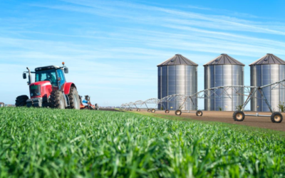 Escândalo bancário no Brasil: Como o crédito internacional pode ser a solução para o agronegócio brasileiro