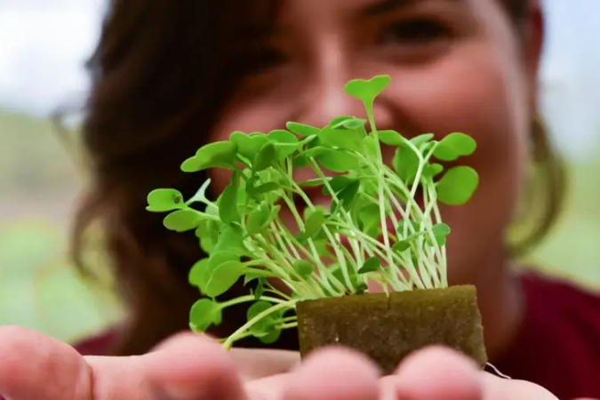 Mais emprego e alta no faturamento: indústria alimentícia registra balanço positivo em 2024